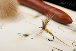 Fly by Roger Enger Lie