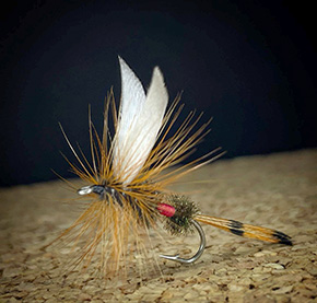 Royal Coachman tied Fly by Alex Nava