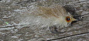 Fly by Ashley Strutt England