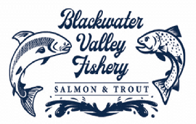 Blackwater Valley Fisher at The Irish Fly Fair 2025