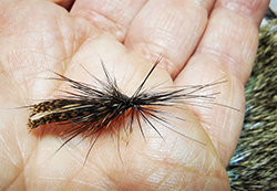 Fly by Fabio Federighi