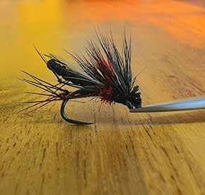 Fly by Jack Westbury England