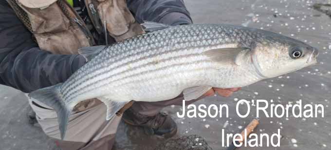 Jason O'Riordan at The 2025 Irish Fly Fair