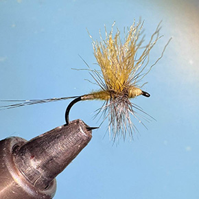 Jef De Mayer Fly Fishing