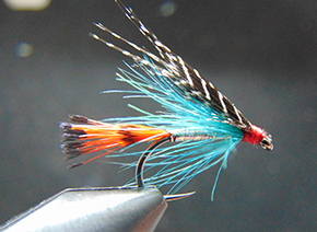 Joseph Conway at The Irish Fly Fair 2025