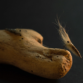 Sand Shrimp by Fly Dresser John Maduro