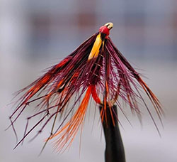 Fly Dresser Kevin Sheridan