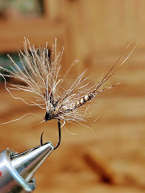 Tied by Laurent Vallée Fly Dresser at the Irish Fly Fair 2025