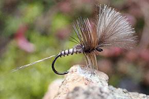 Mark Roovers Fly Dresser tying at The Irish Fly Fair 2025