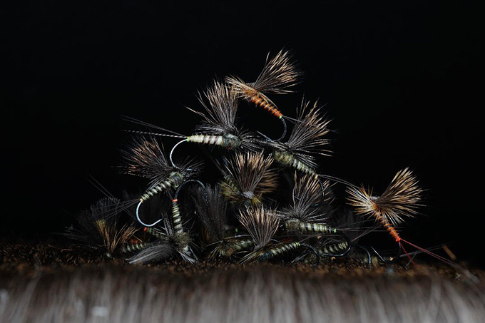 Paul Molloy Irish Fly Dresser at The Irish Fly Fair 2025