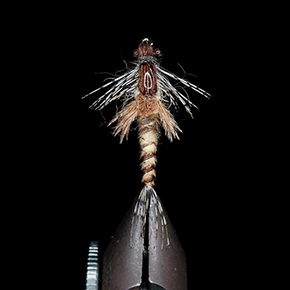 Paul Molloy Irish Fly Dresser at the Irish Fly Fair 2025