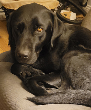 FRanger at The Irish Fly Fair 2024