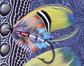 Evangeline Fly by Satoshi Yamamoto Montana, USA