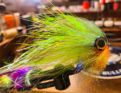 Steve Maldonado USA Fly Dresser