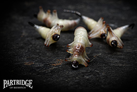 Steven Shorrock Flies tied