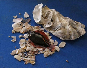 Stoyan Filipov Fly Dresser at The Irish Fly Fair 2025