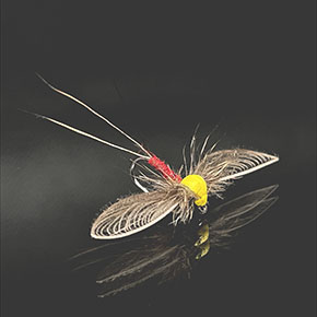 Dry Fly tied by Yvonne Borrmann Fly Dresser tying at The Irish Fly Fair 2025